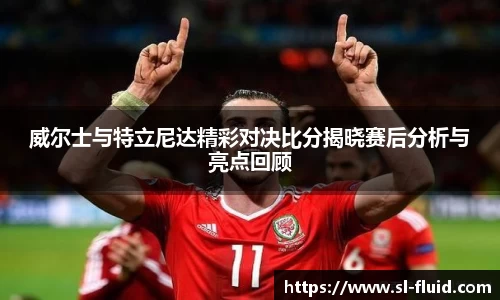 威尔士与特立尼达精彩对决比分揭晓赛后分析与亮点回顾